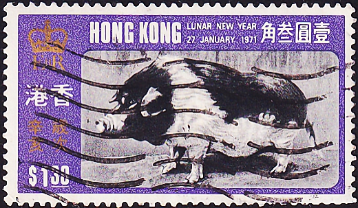 Гонконг 1971 год . Кабан (Sus scrofa domestica) . Каталог 15,0 €.